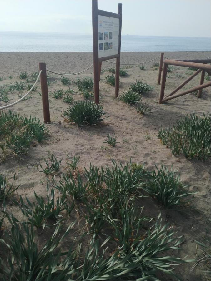 Suites Beach Nature 벨레즈 말라가 외부 사진